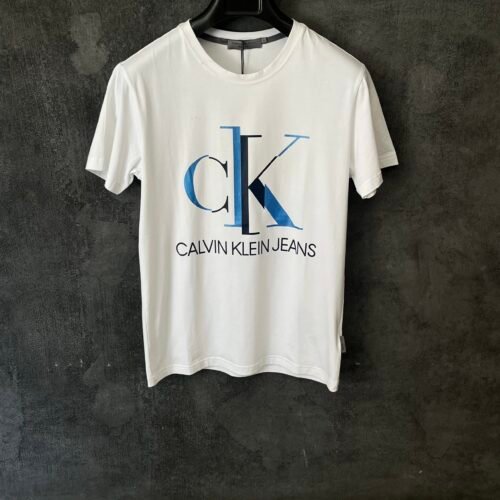 IMG_E8987 CALVIN KLEIN T-SHIRT