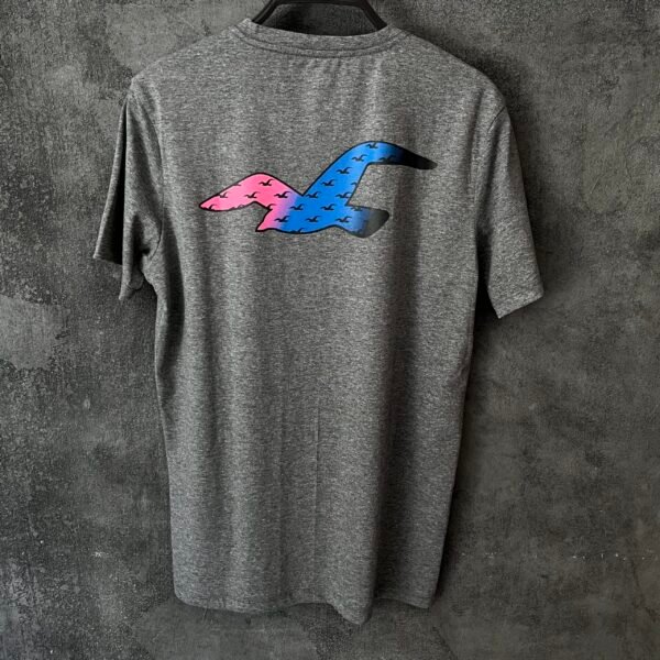 IMG_E8994 HOLLISTER T-SHIRT