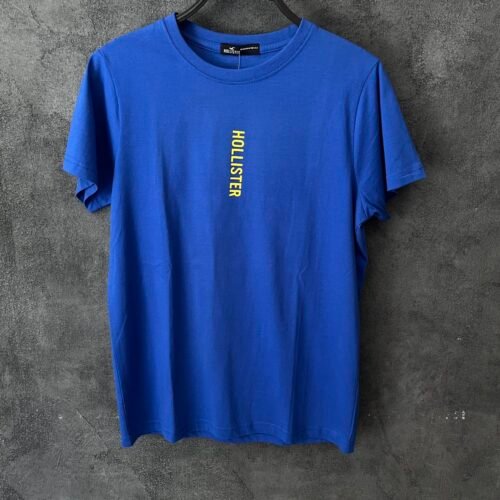 IMG_E9004 HOLLISTER T-SHIRT