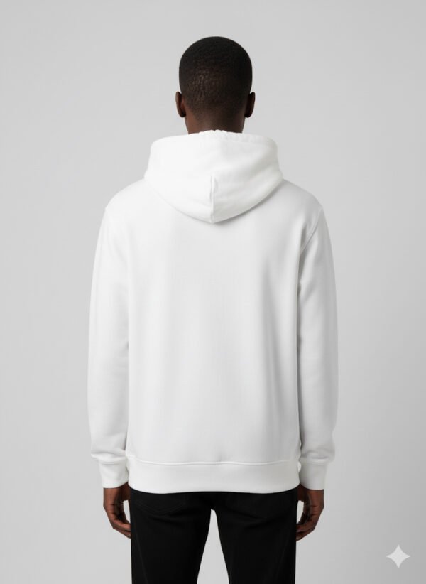 HOLLISTER HOODIE