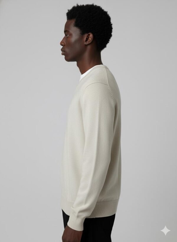 BASIC V-NECK PULLOVER