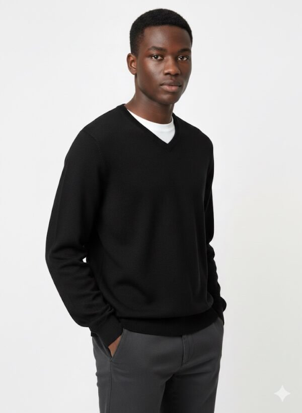 BASIC V-NECK PULLOVER