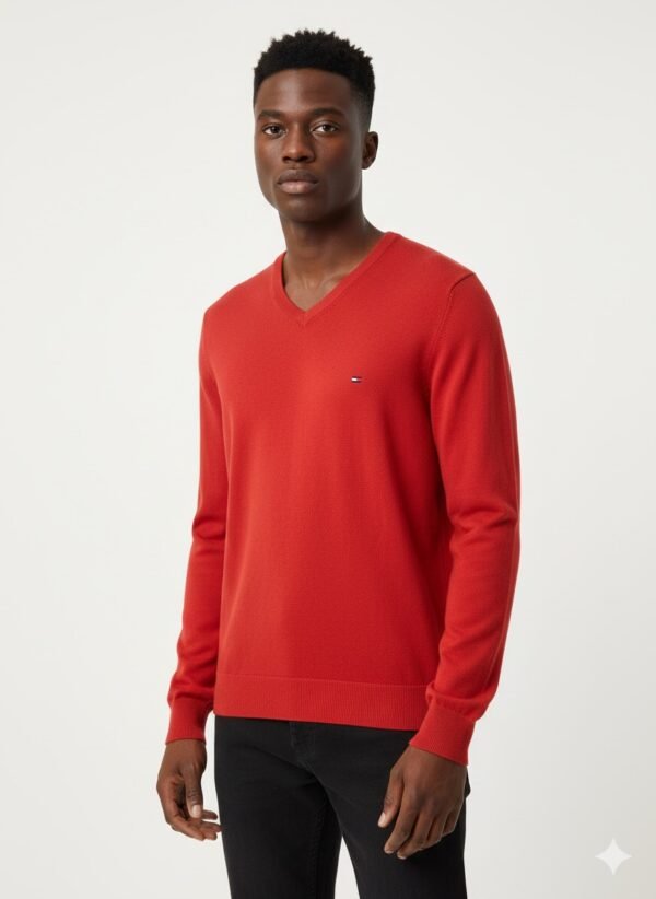 IMG_0587 TOMMY HILFIGER V-NECK PULLOVER
