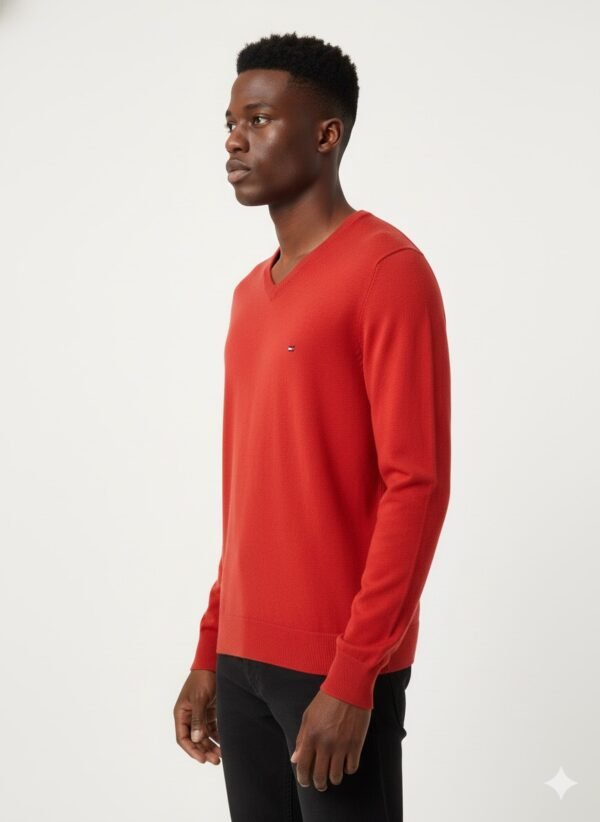 IMG_0588 TOMMY HILFIGER V-NECK PULLOVER
