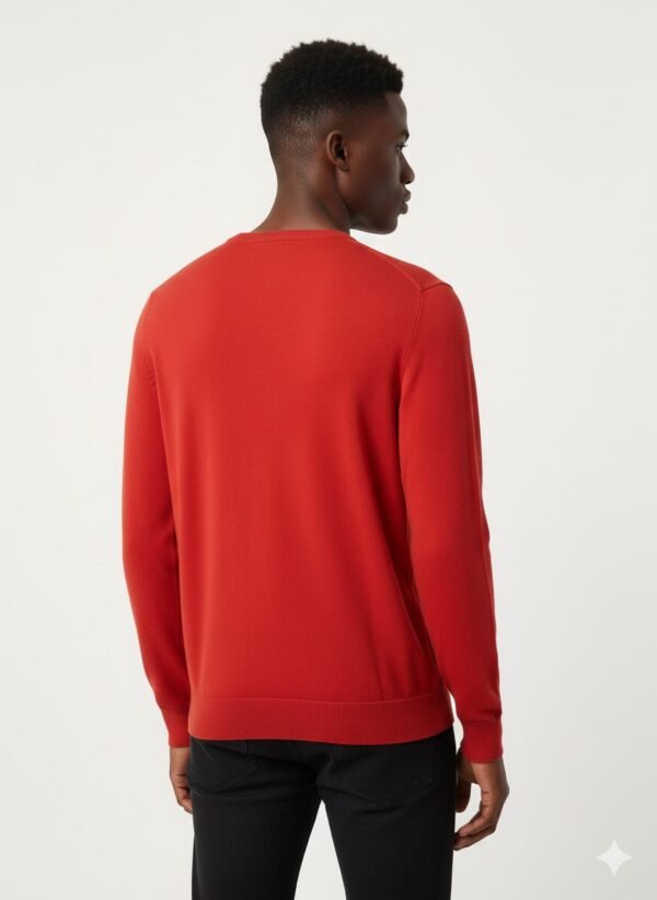 IMG_0589 TOMMY HILFIGER V-NECK PULLOVER