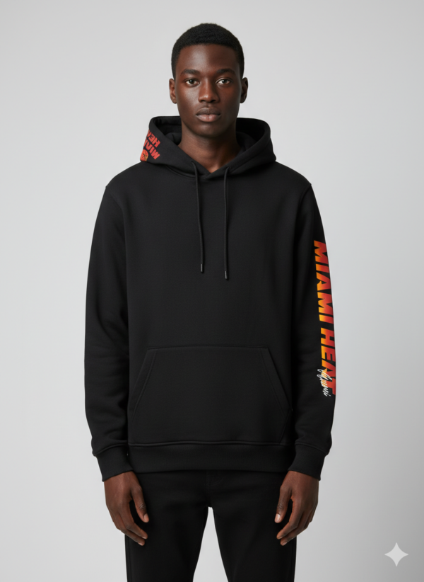 IMG_1042 HOLLISTER HOODIE