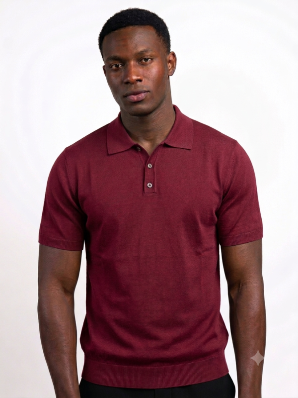 IMG_2303 KNIT POLO